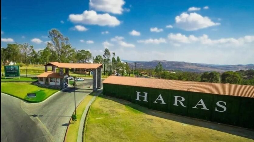 Terreno Haras